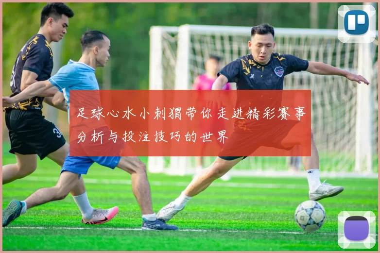 足球心水小刺猬带你走进精彩赛事分析与投注技巧的世界