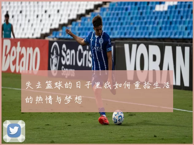 失去篮球的日子里我如何重拾生活的热情与梦想